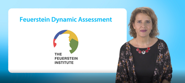 Feuerstein Online Dynamic Assessment